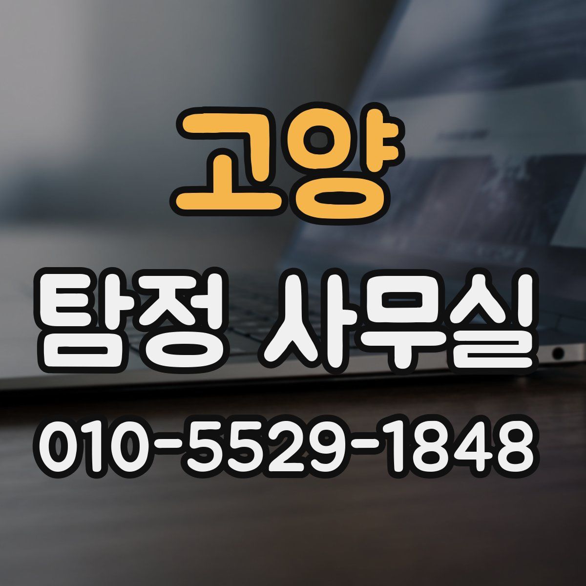 고양 탐정 사무실