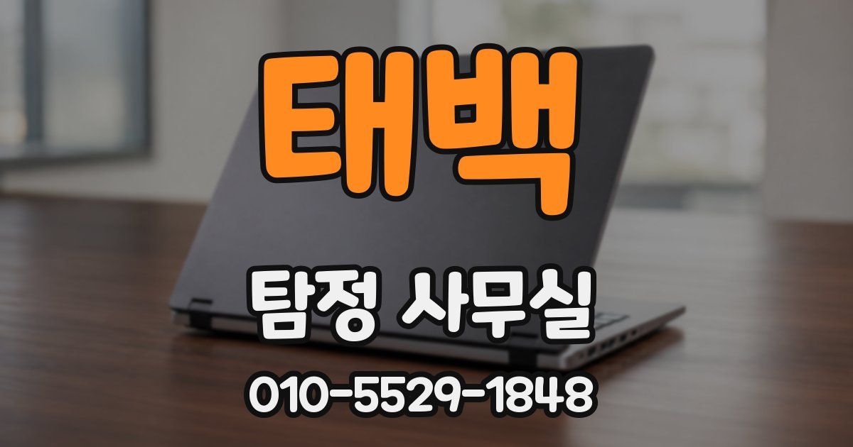 태백 탐정 사무실