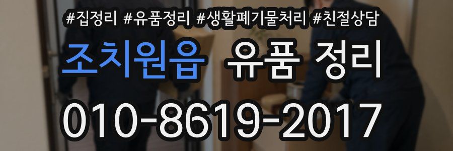 조치원읍 유품 정리