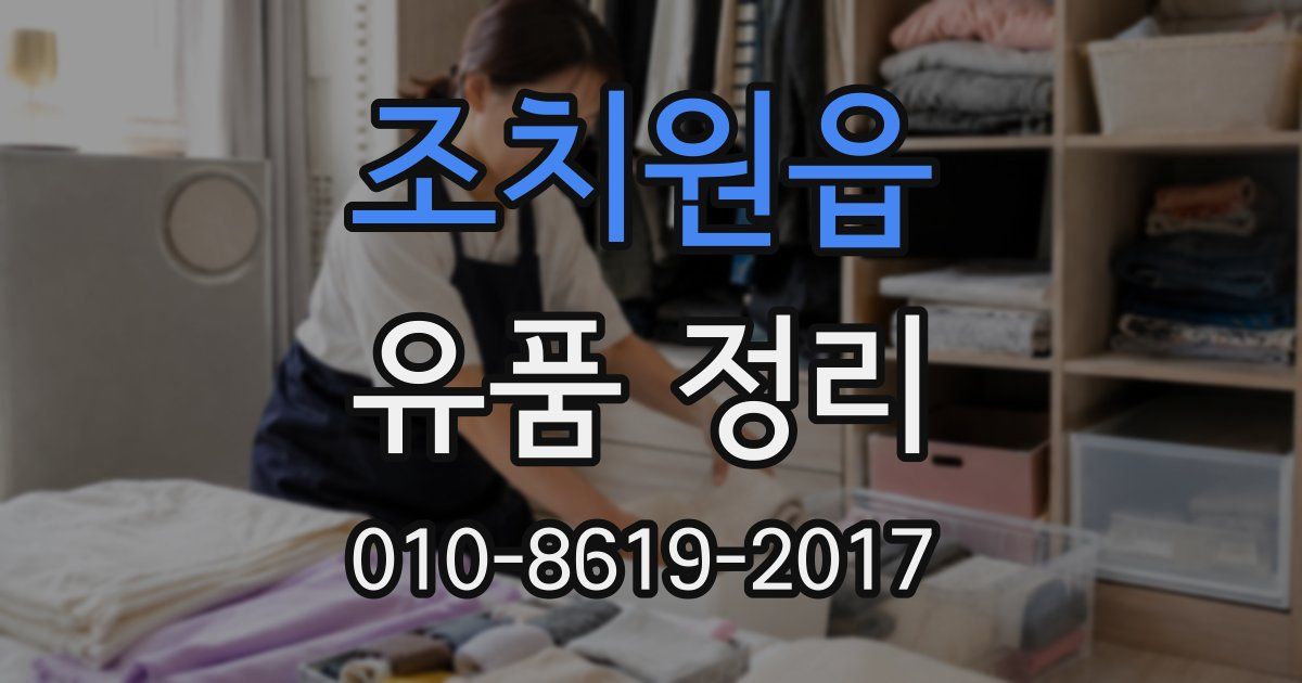 조치원읍 유품 정리