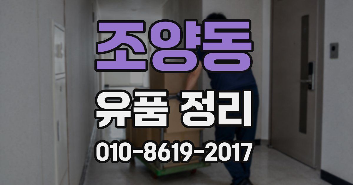 조양동 유품 정리
