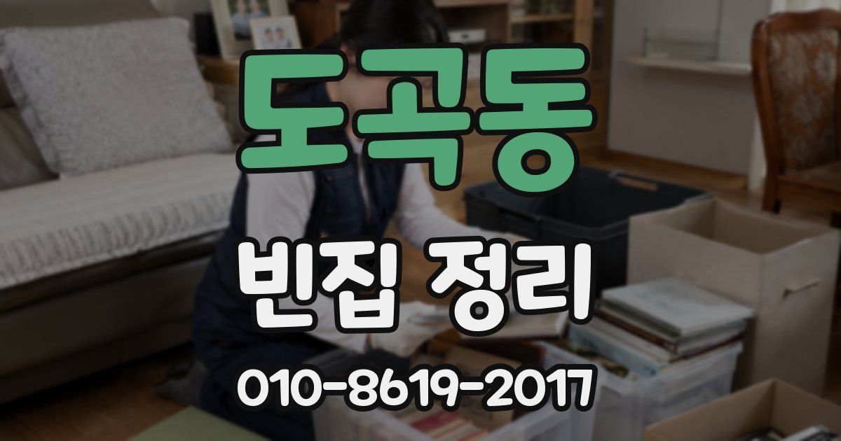도곡동 빈집 정리