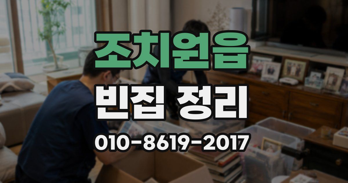 조치원읍 빈집 정리