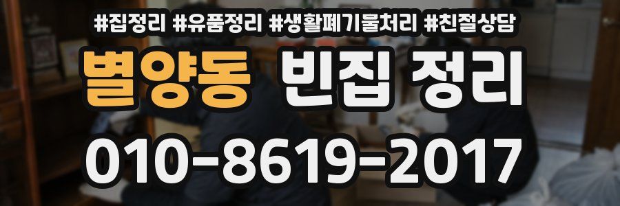 별양동 빈집 정리