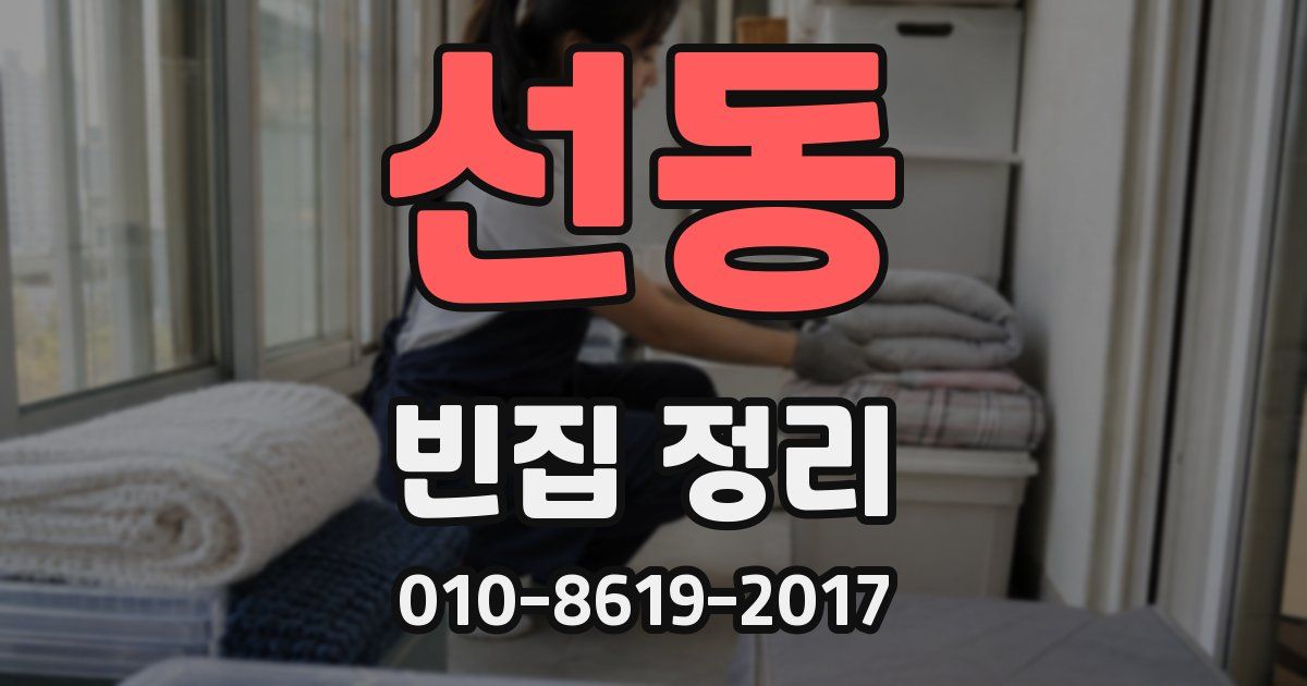 선동 빈집 정리
