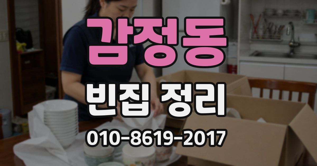 감정동 빈집 정리