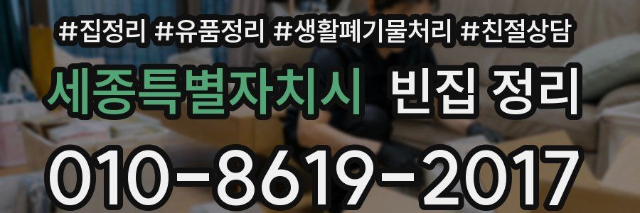 세종특별자치시 빈집 정리