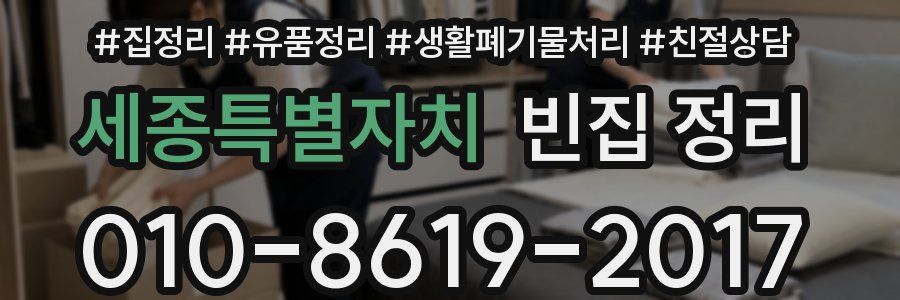 세종특별자치 빈집 정리