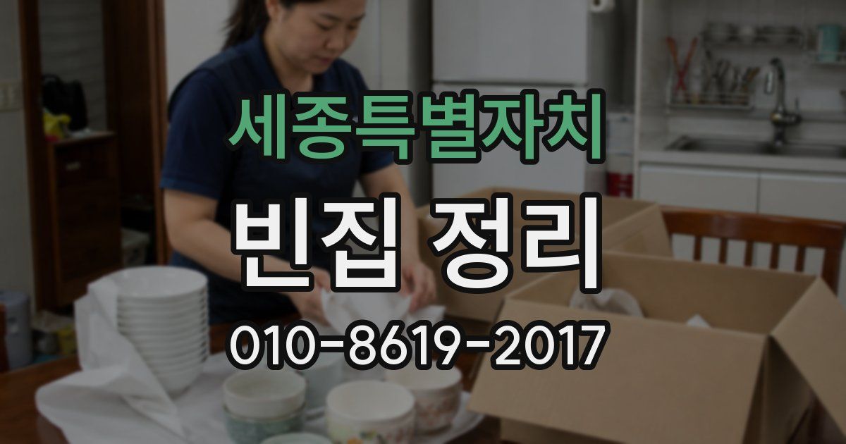 세종특별자치 빈집 정리