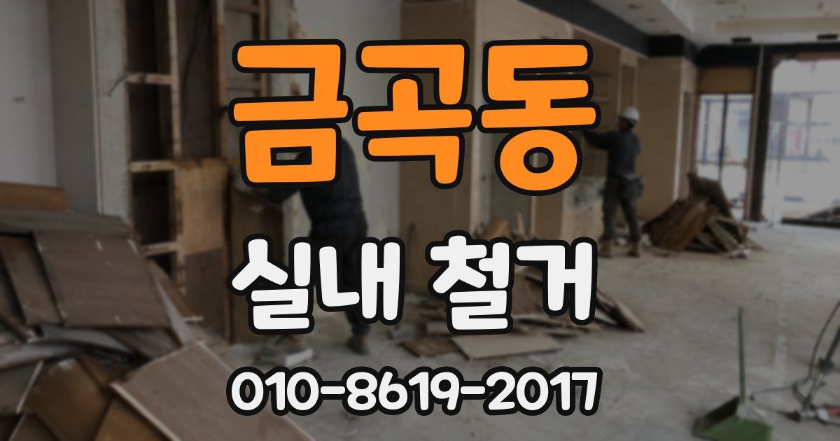 금곡동 실내 철거
