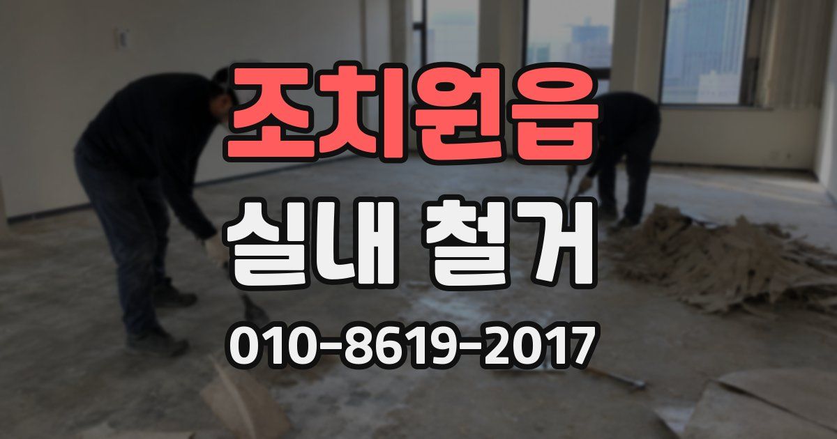 조치원읍 실내 철거