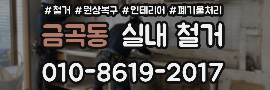 금곡동 실내 철거