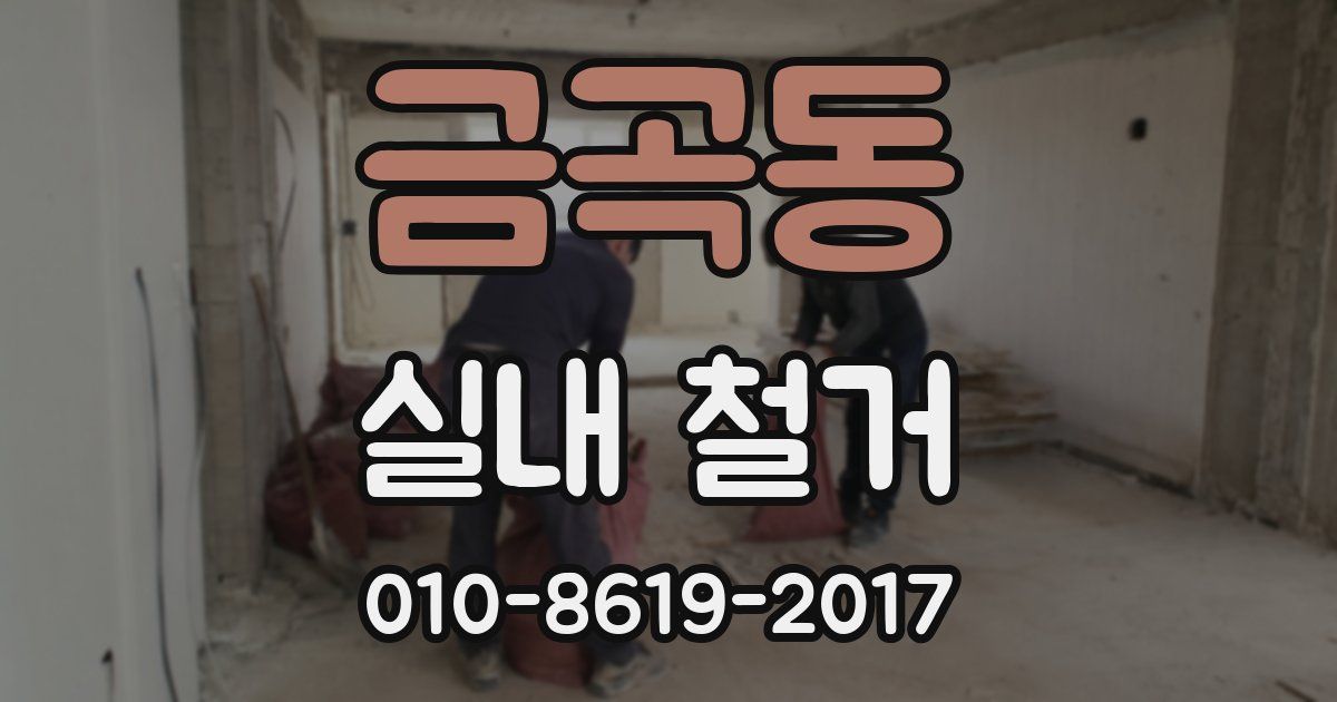 금곡동 실내 철거