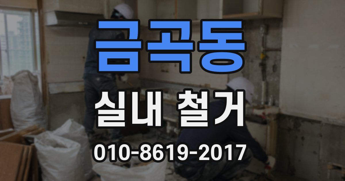 금곡동 실내 철거