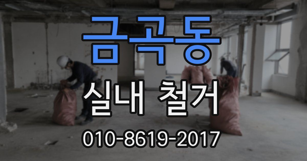 금곡동 실내 철거