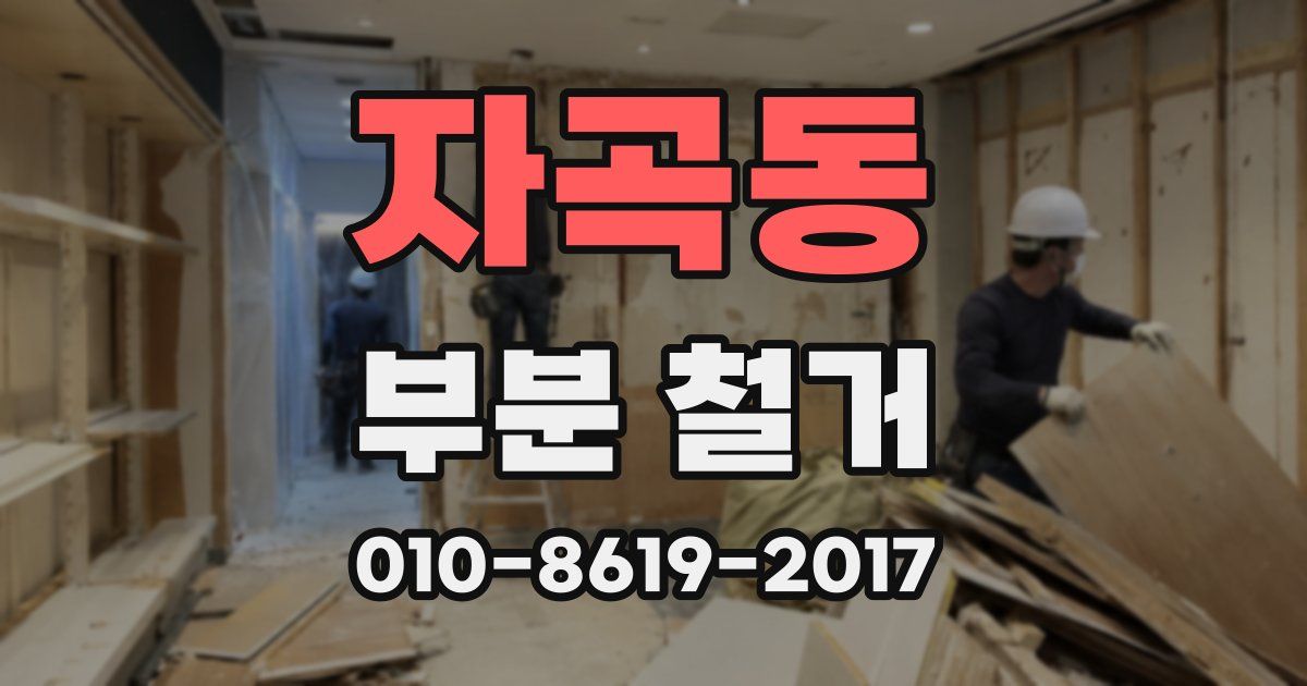 자곡동 부분 철거
