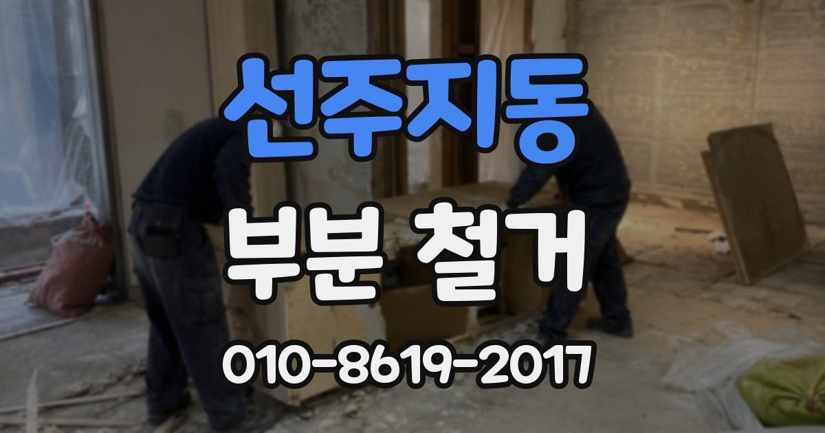 선주지동 부분 철거