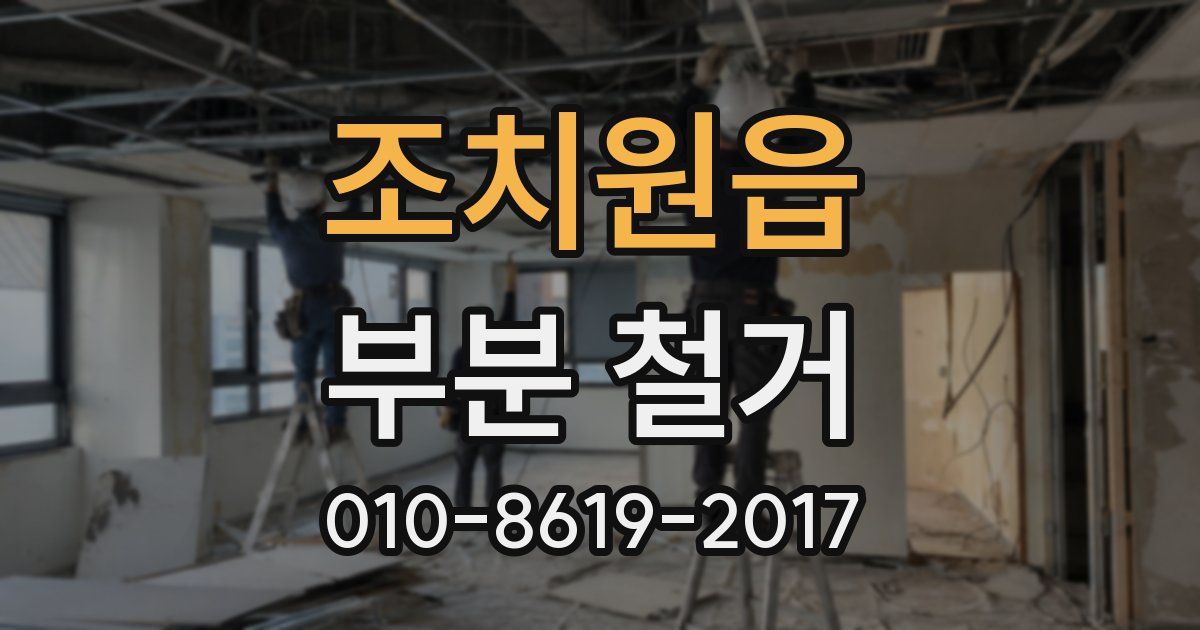 조치원읍 부분 철거