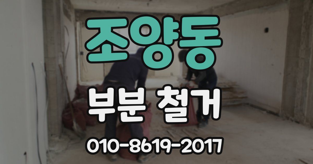 조양동 부분 철거