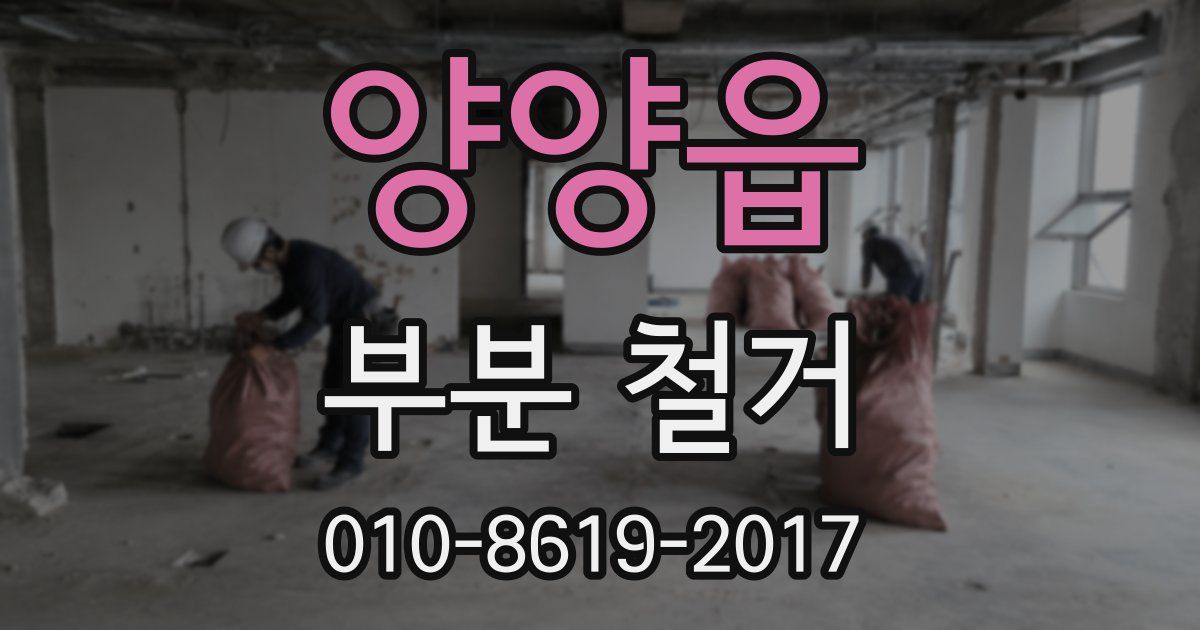 양양읍 부분 철거