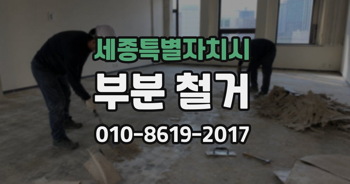세종특별자치시 부분 철거
