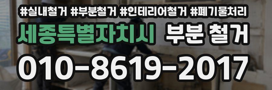 세종특별자치시 부분 철거