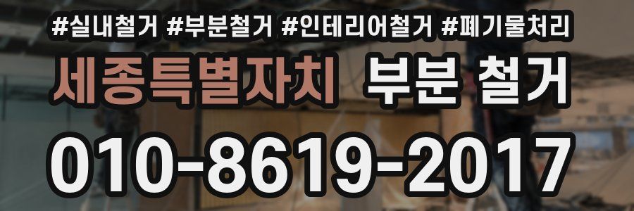 세종특별자치 부분 철거