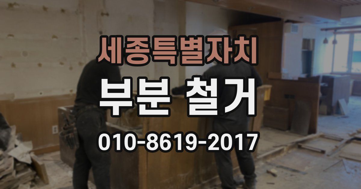 세종특별자치 부분 철거