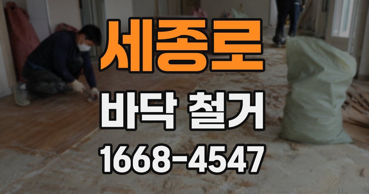 세종로 바닥 철거