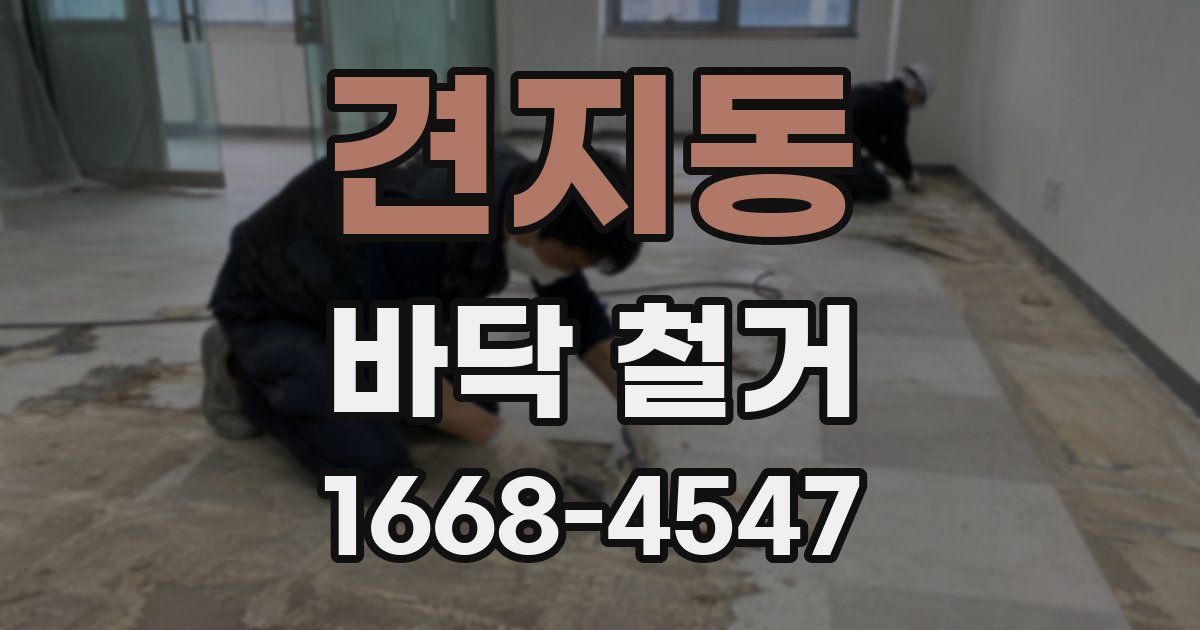 견지동 바닥 철거