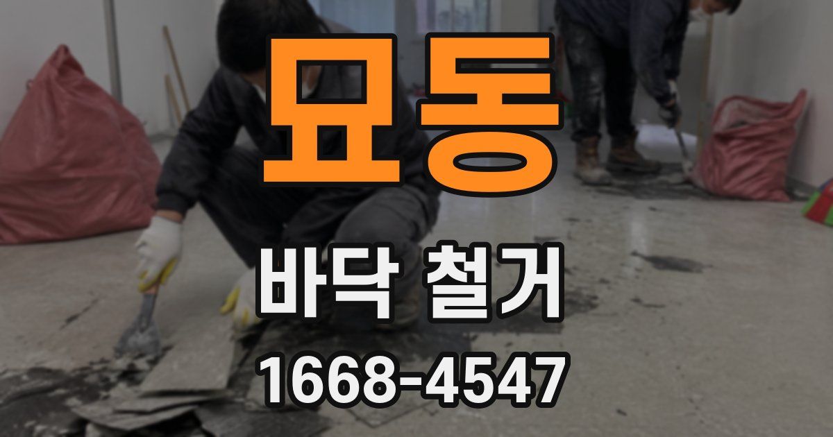 묘동 바닥 철거