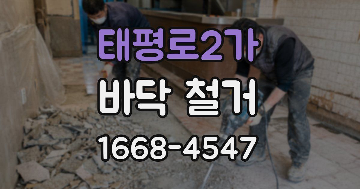 태평로2가 바닥 철거