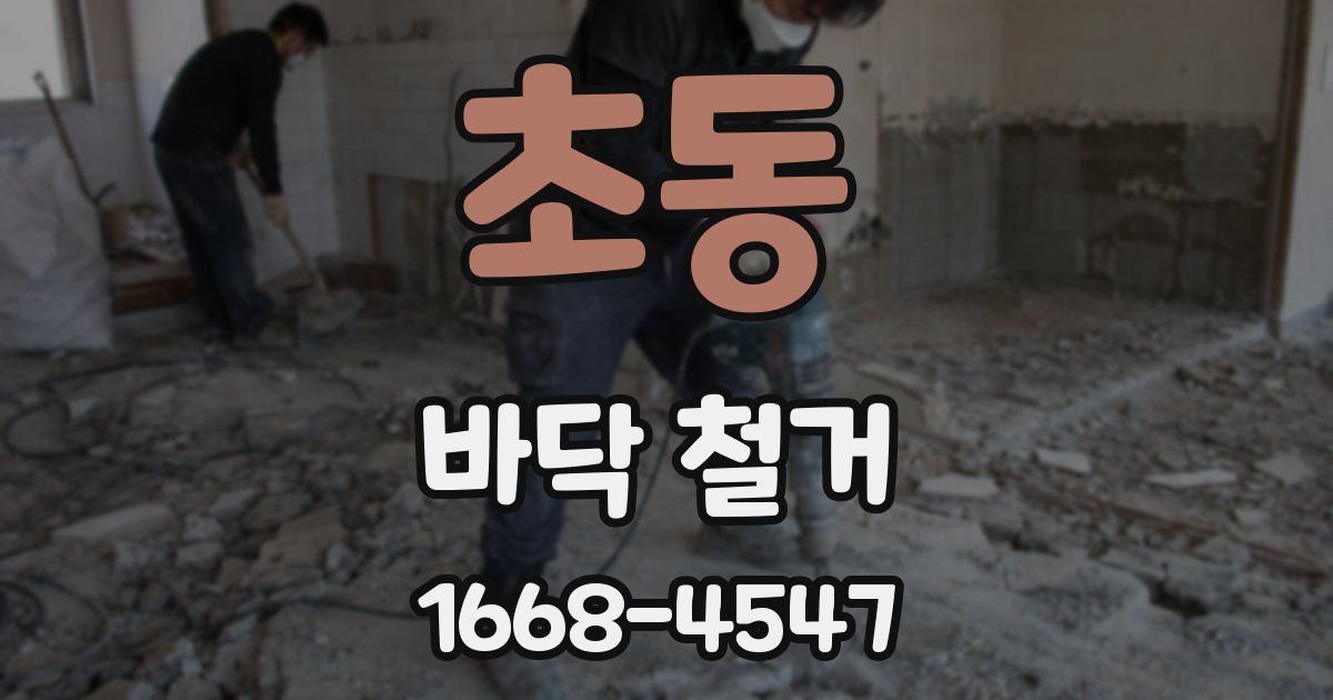 초동 바닥 철거