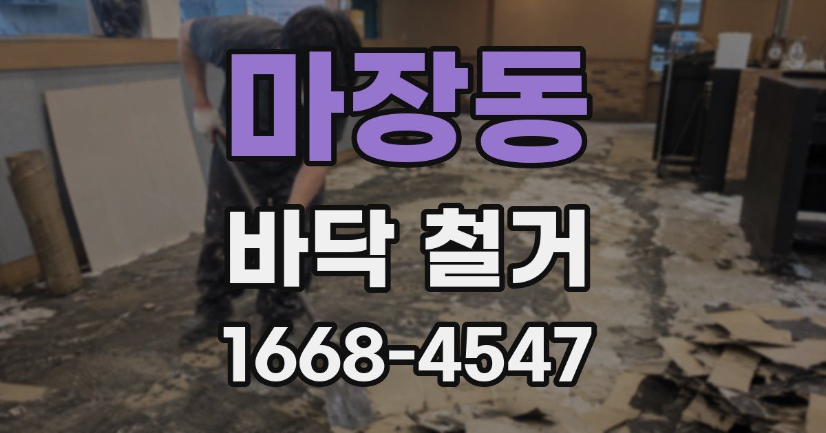 마장동 바닥 철거