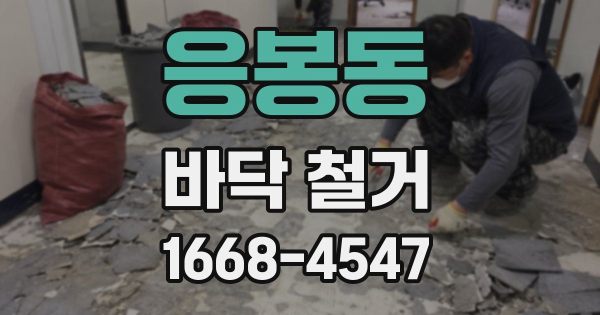 응봉동 바닥 철거