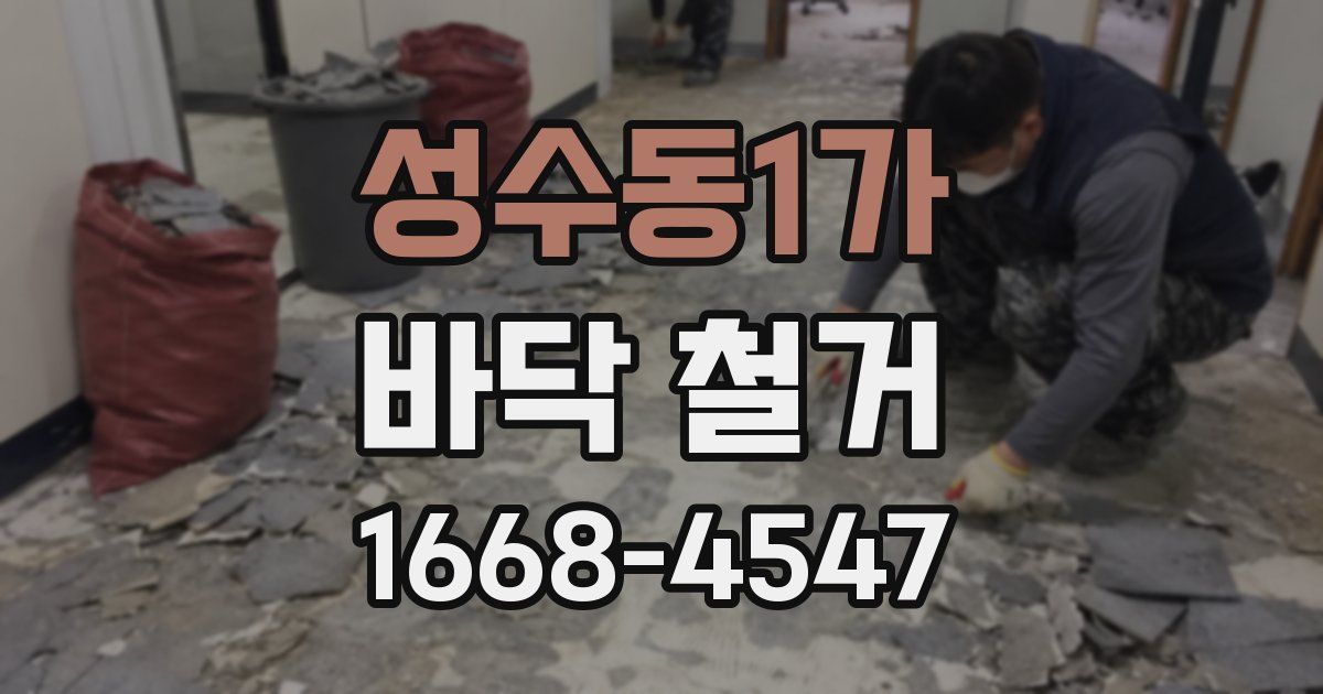 성수동1가 바닥 철거