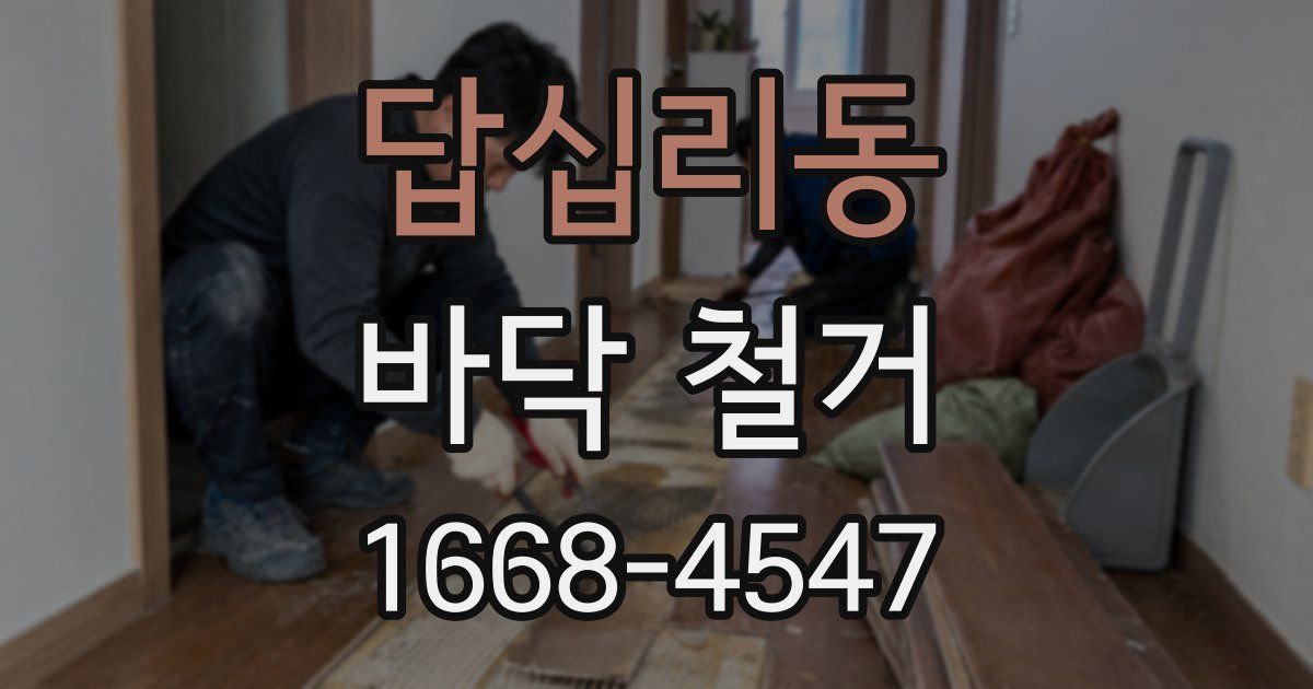 답십리동 바닥 철거