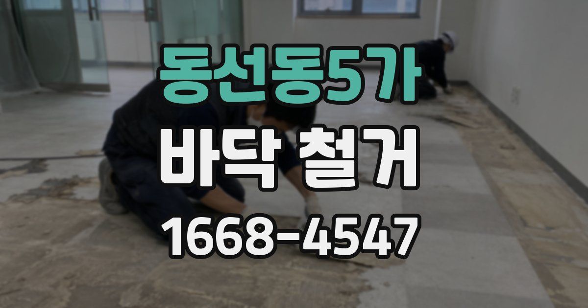동선동5가 바닥 철거