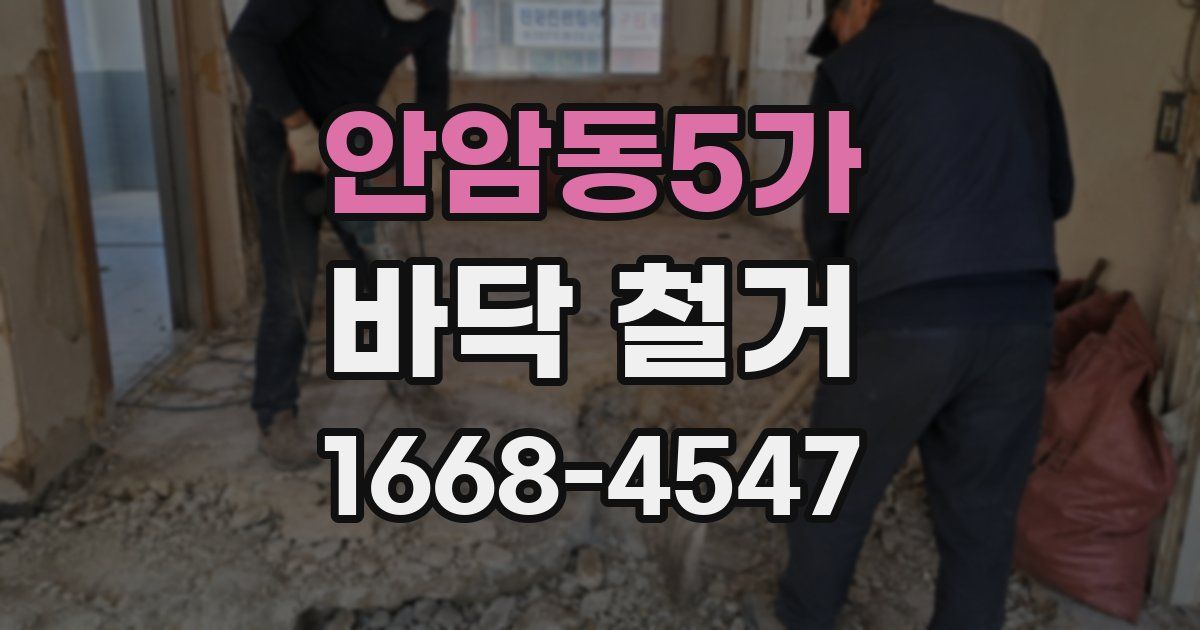안암동5가 바닥 철거