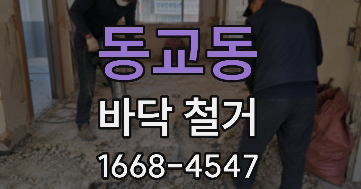 동교동 바닥 철거