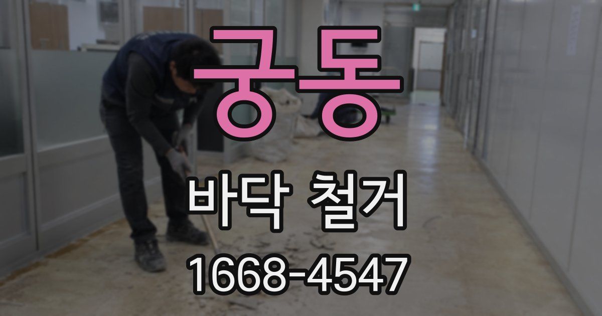 궁동 바닥 철거