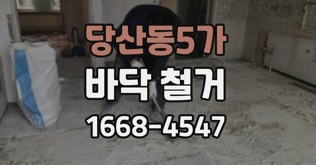 당산동5가 바닥 철거