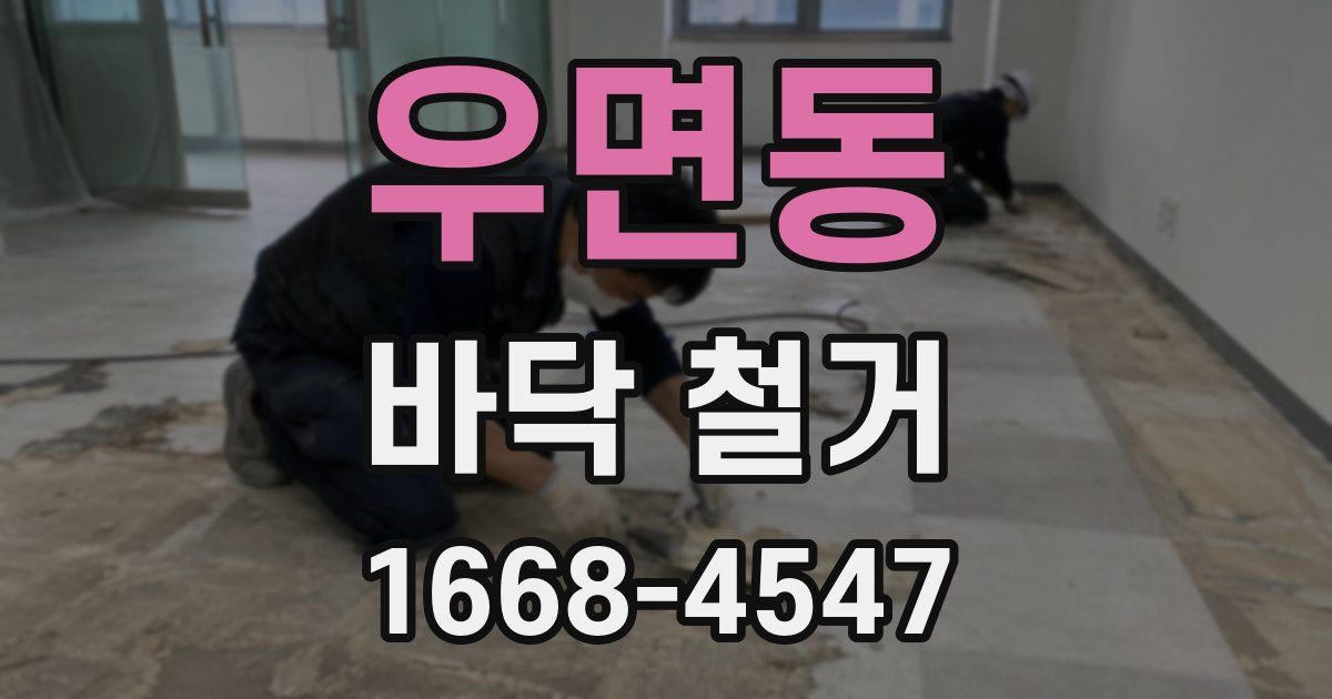 우면동 바닥 철거