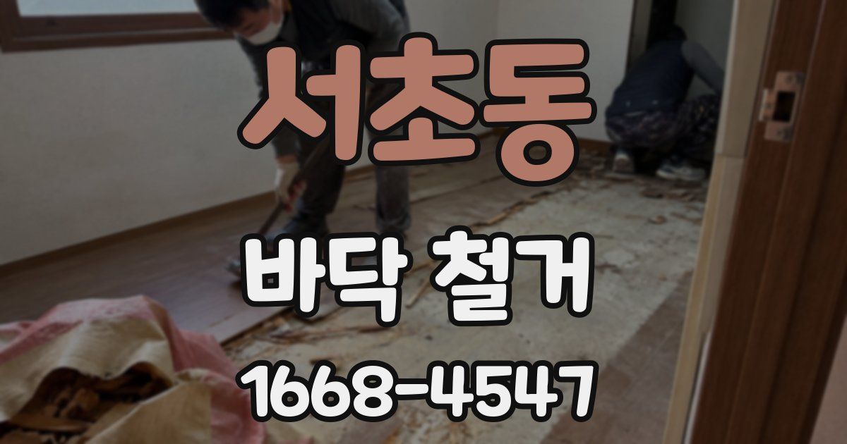 서초동 바닥 철거