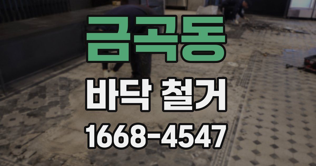 금곡동 바닥 철거