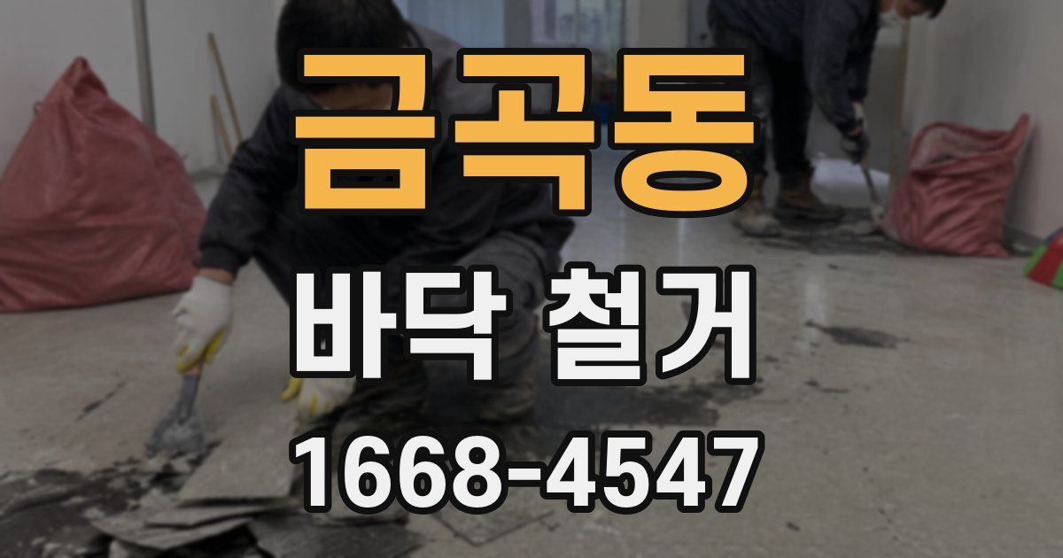금곡동 바닥 철거