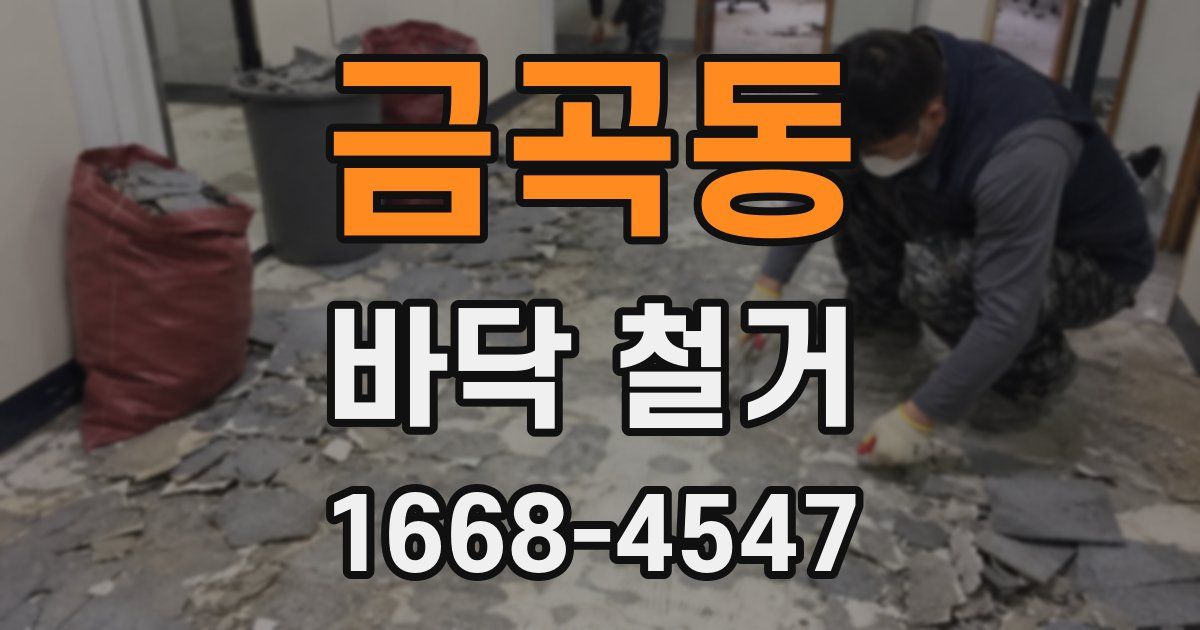 금곡동 바닥 철거