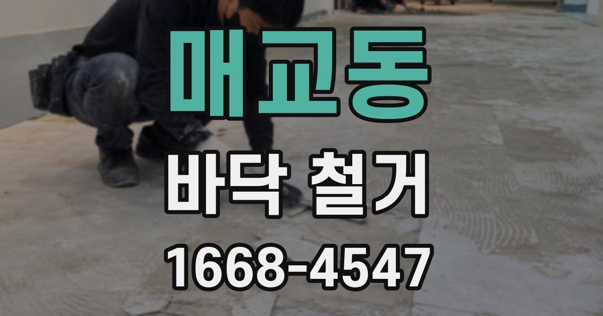 매교동 바닥 철거