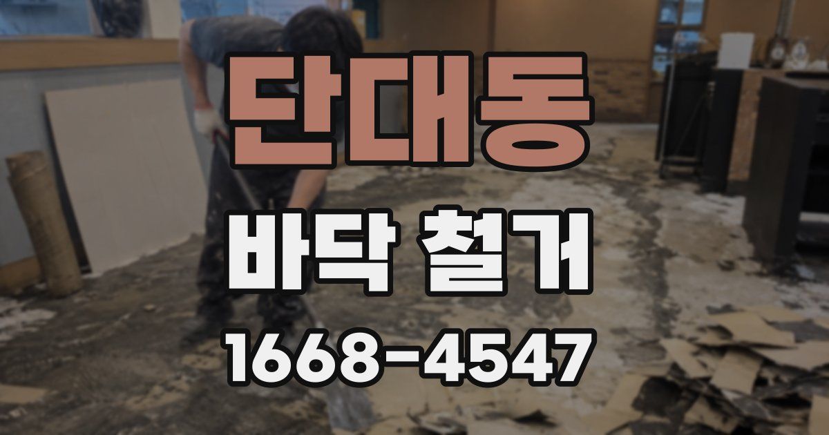단대동 바닥 철거