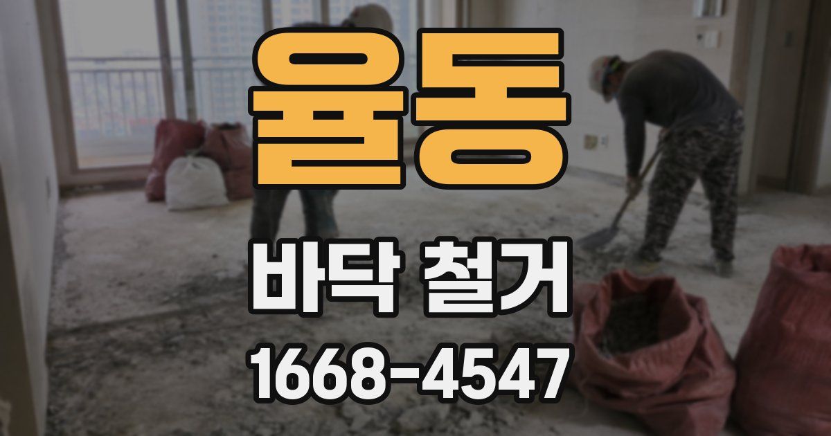 율동 바닥 철거
